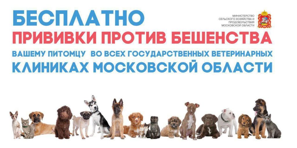 Бесплатная вакцинация против бешенства!