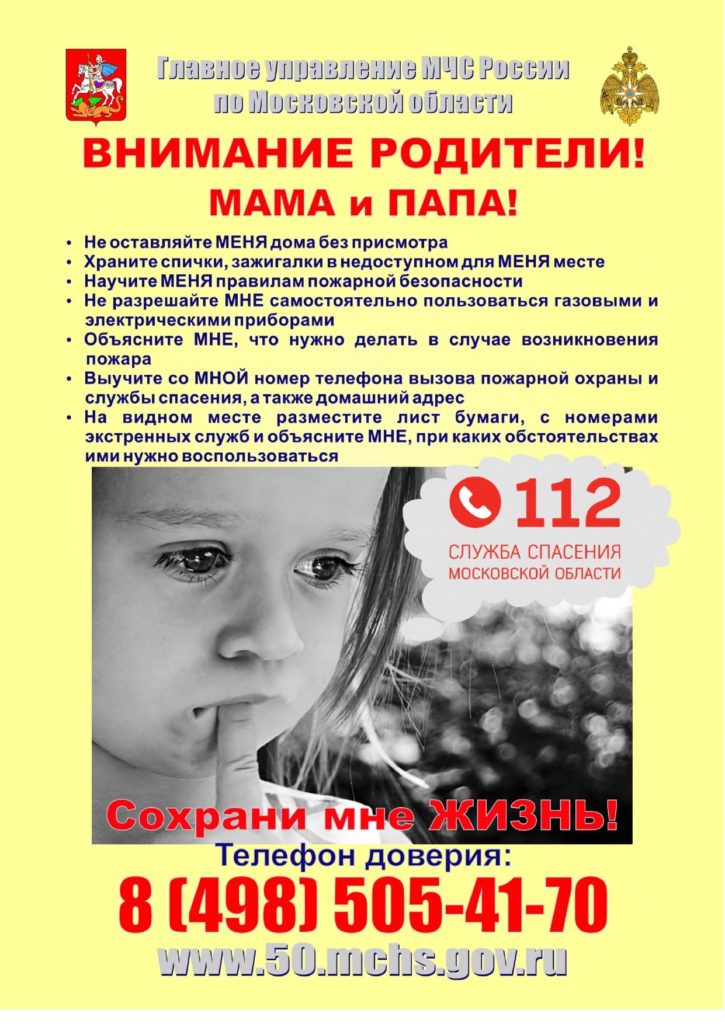 Методически рекомендации МЧС по подготовке к проведению новогодних праздников.
