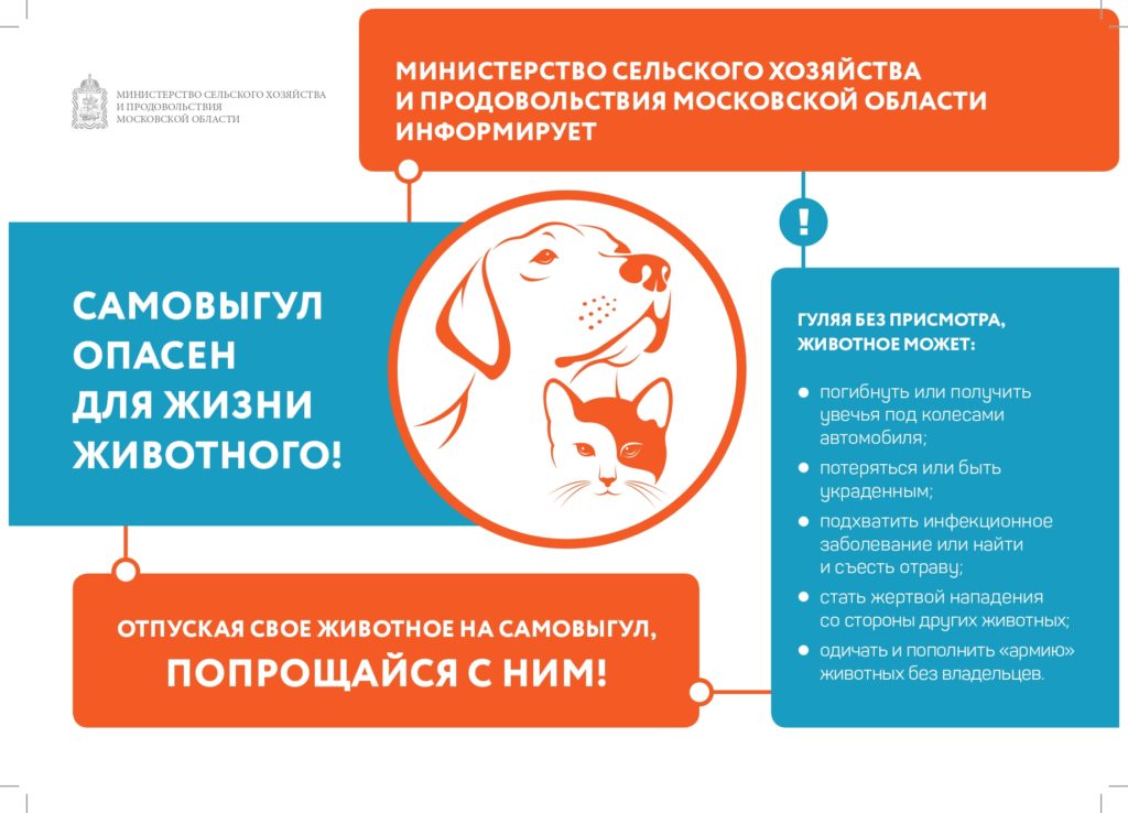 Об опасности самовыгула домашних животных.
